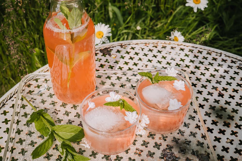 Annoskuva reseptistä raparperijuoma kategorialle juomat