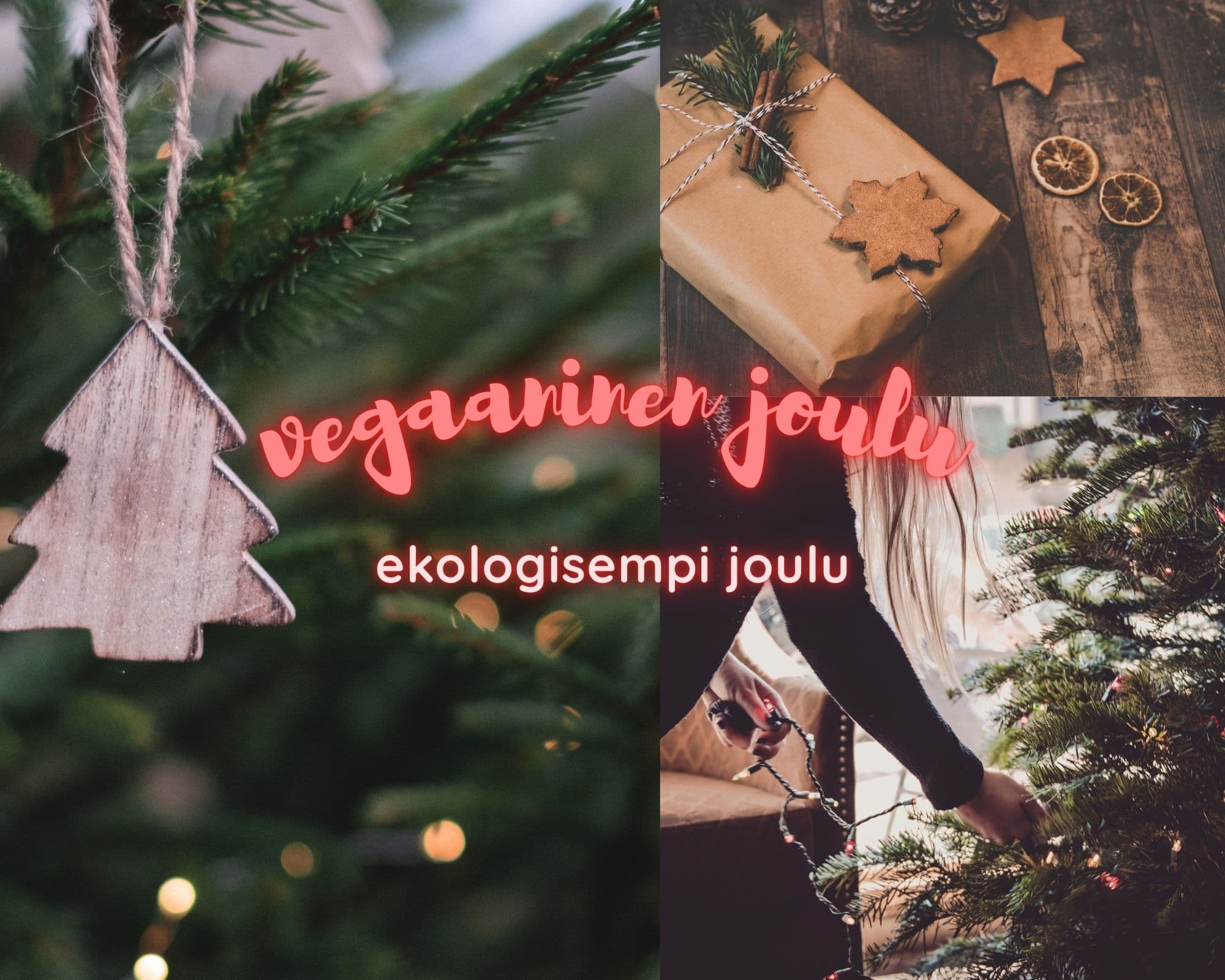 Annoskuva reseptistä ekologinen joulu kategorialle artikkeli